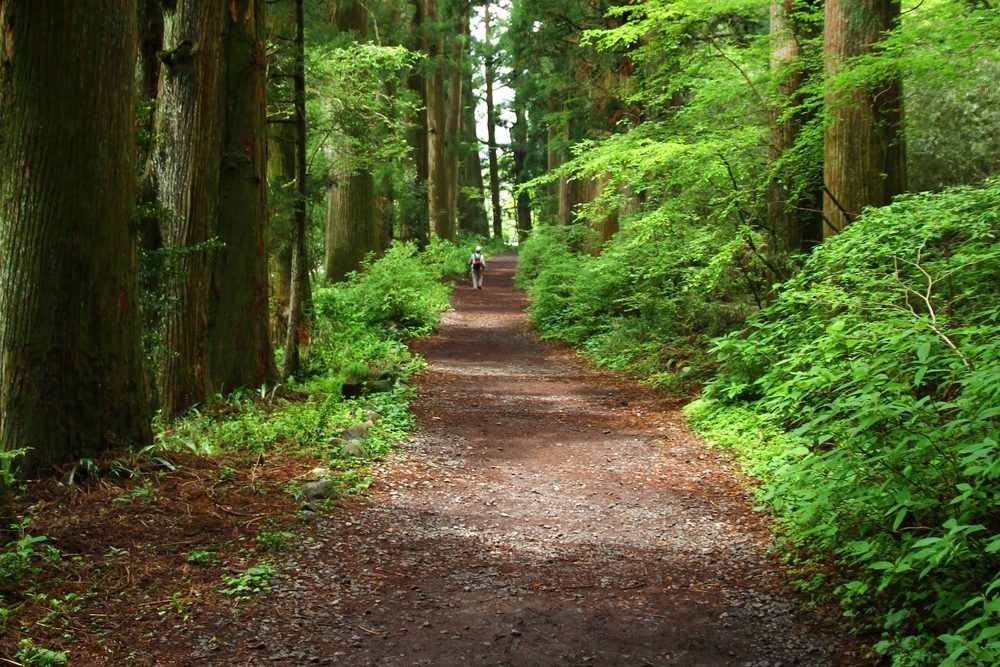 Fuji Hakone Izu National Park Official Ganp Park Page